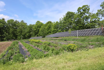 Community Supported Solar On Sun Harvesting in the Monadnock Region